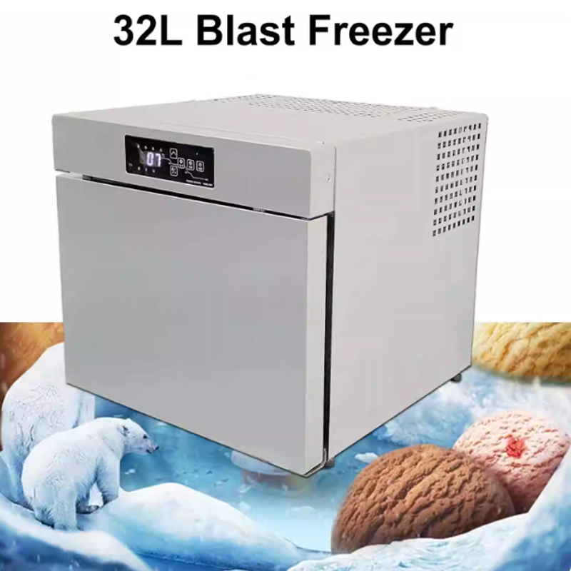 Freezer Makanan Laut Cepat Bek - Commercial Chest Freezer ulasan dan harga