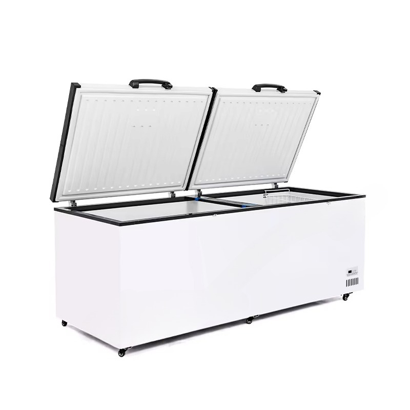 Freezer Komersial 2 Pintu Baru - Commercial Chest Freezer ulasan dan harga