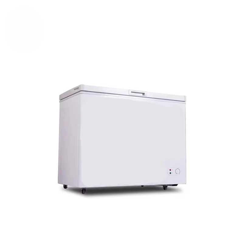 100~300 Liter Kapasitas Kecil  - Commercial Chest Freezer ulasan dan harga